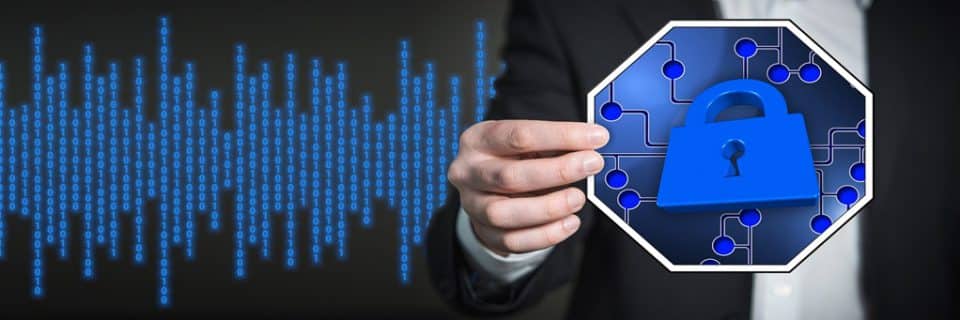 All your information security needs under Global SNI consulting services